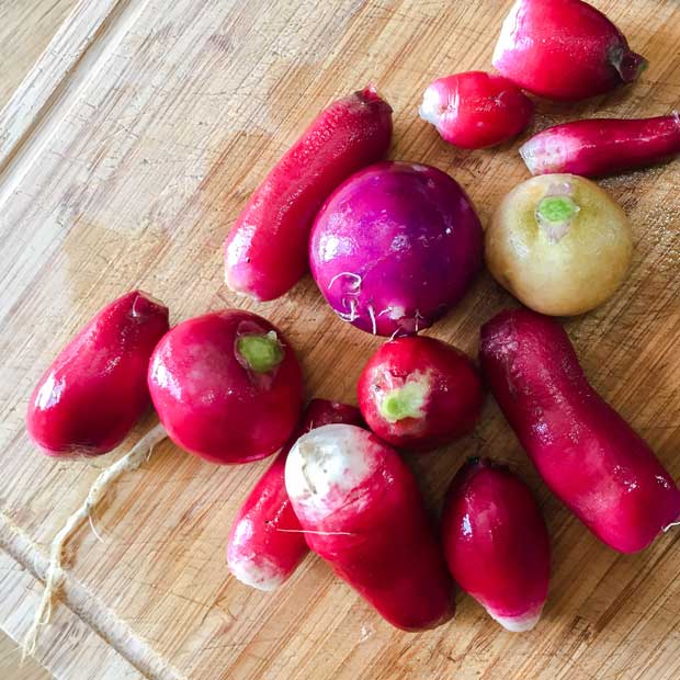 Grow Summer Radish - prepared radishes
