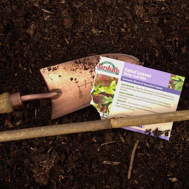 Salad Leaves Baby Leaf Mix Seed packet 