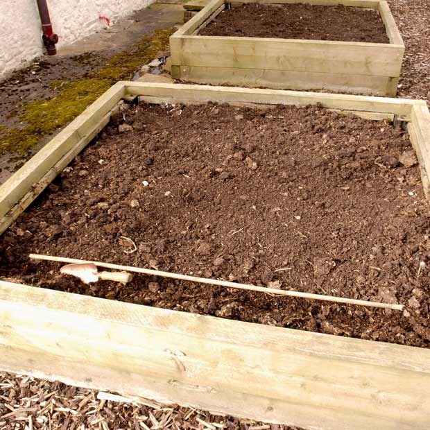 use a cane to make a straight trench