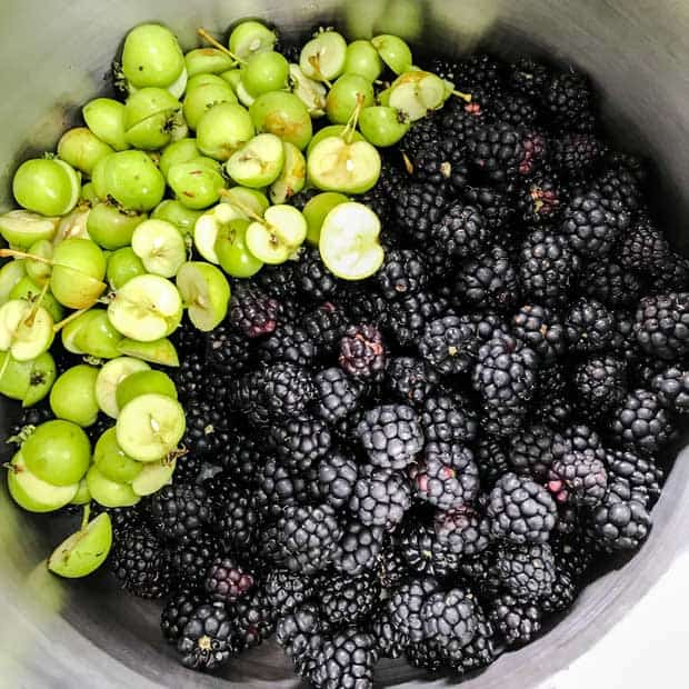 Blackberries and apples in pan