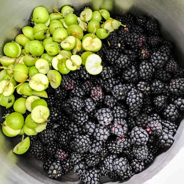 Blackberries and apples in pan 