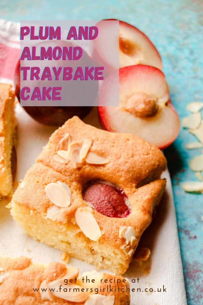 Square of plum and almond traybake cake.