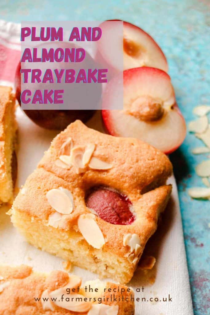 Square of plum and almond traybake cake.