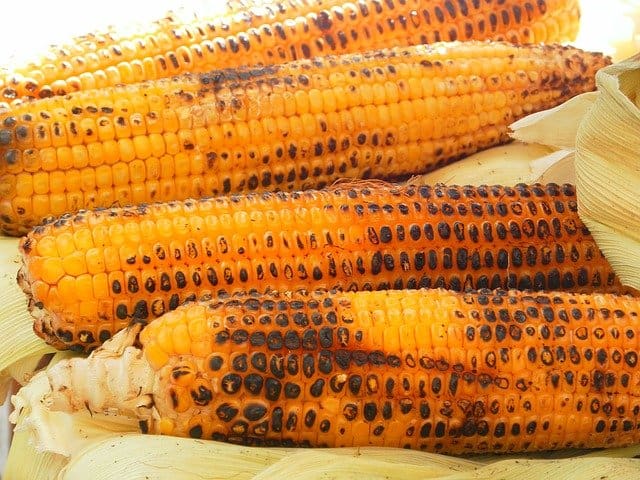 grilled corn on the cob