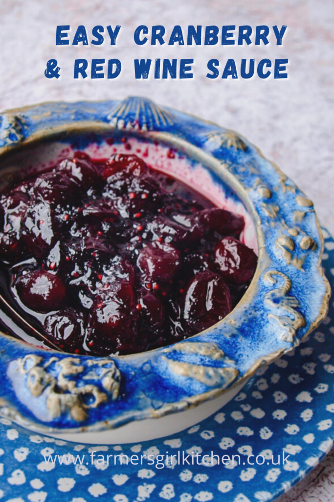 Bowl of Cranbery & Red Wine Sauce