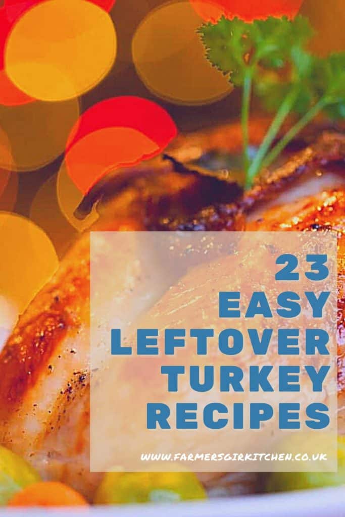 23 Easy Leftover Turkey Recipes