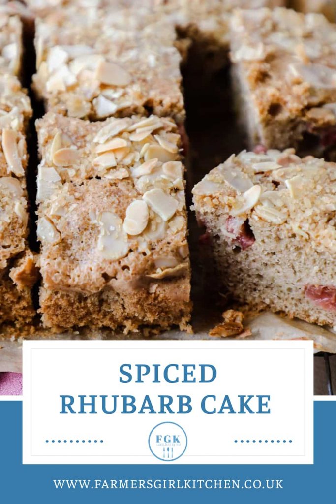 Spiced Rhubarb Cake (Traybake)
