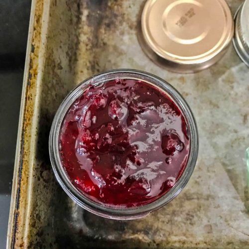 fill jam jar with low sugar plum jam