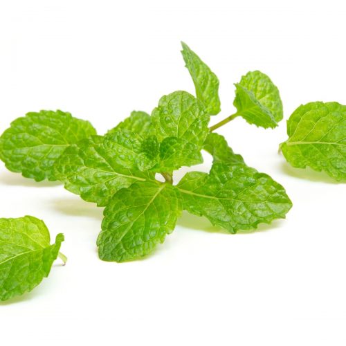 mint leaves