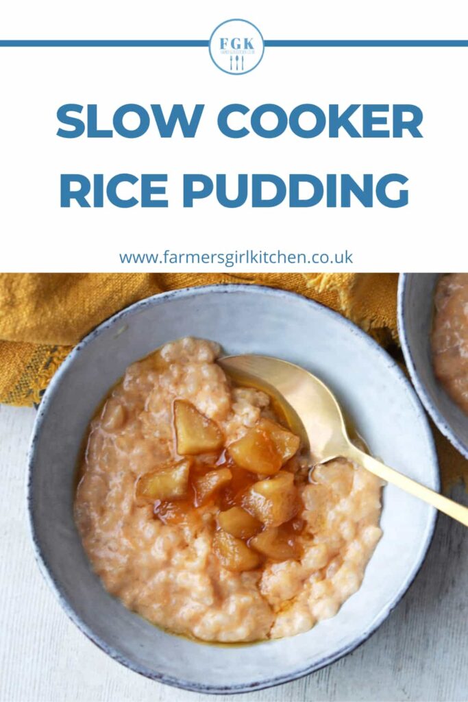 Slow Cooker Rice Pudding in bowl with spoon and butterscotch apples