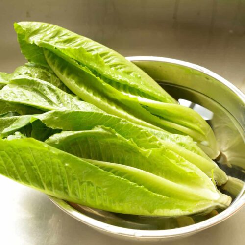 lettuce