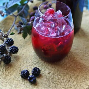 blackberry and vanilla cordial in glass with blackberries and ice
