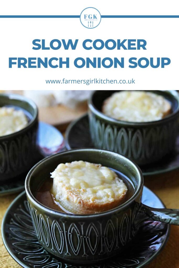 Slow Cooker French onion soup in bowls with cheese croutons