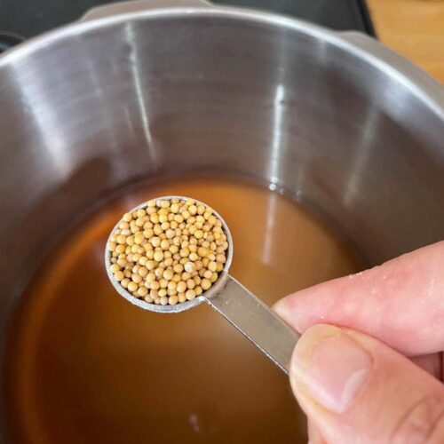 mustard seeds