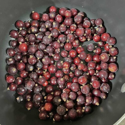 Frozen blackcurrants in pan