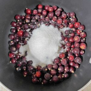blackcurrants and sugar in pan