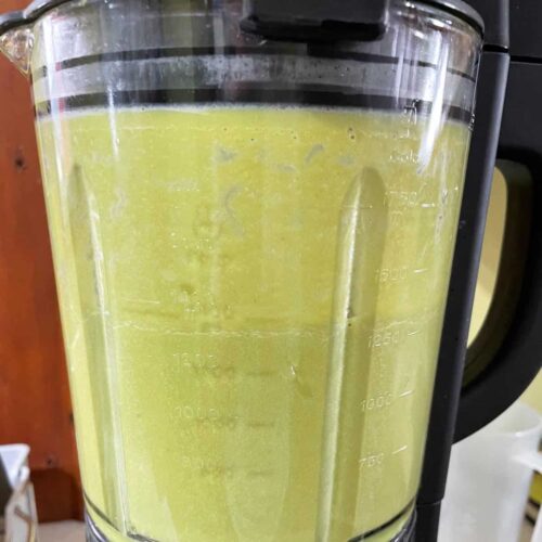 Blender with Lettuce soup inside