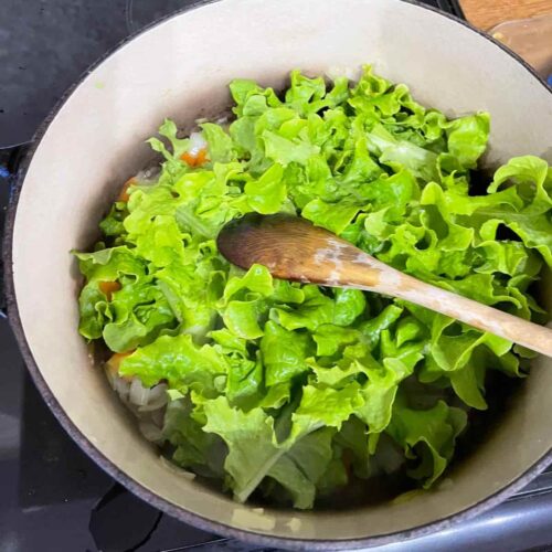 Lettuce in pan for lettuce soup