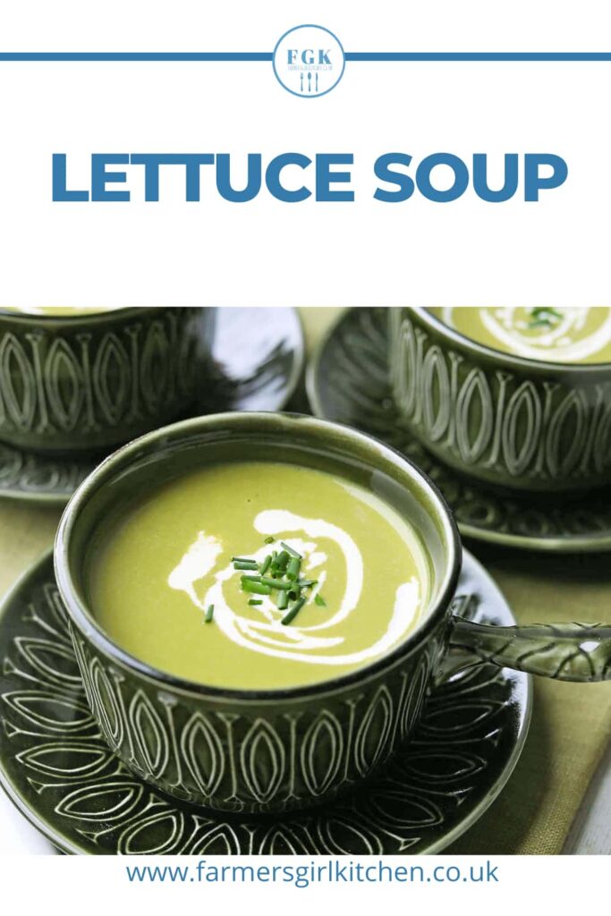 Bowl of lettuce soup