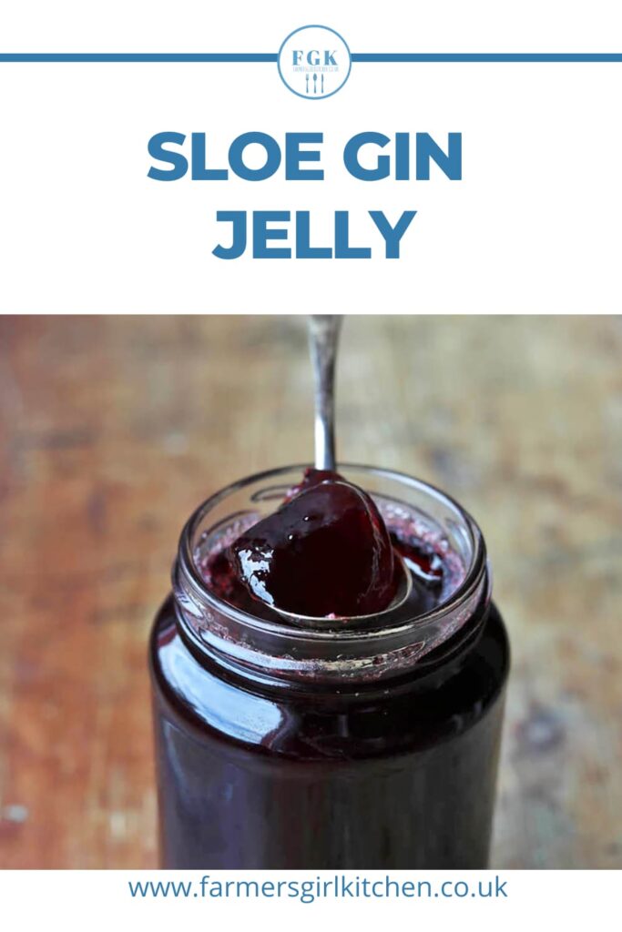 Sloe Gin Jelly is a rich and fruity preserve that gives you all the flavour of traditional sloe gin to spread on your toast!  This simple jelly is a great way to use foraged sloes (blackthorn fruit) and makes an ideal gift. 