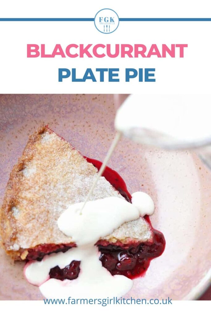 blackcurrant plate pie