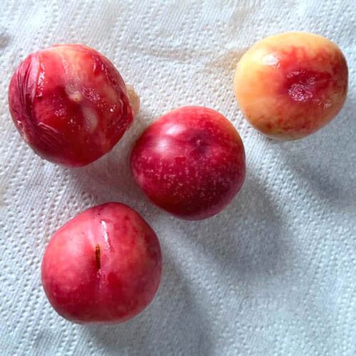 removing skin from peaches.