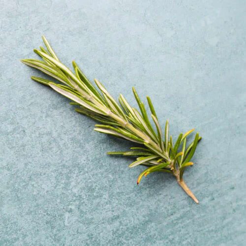 sprig of rosemary.