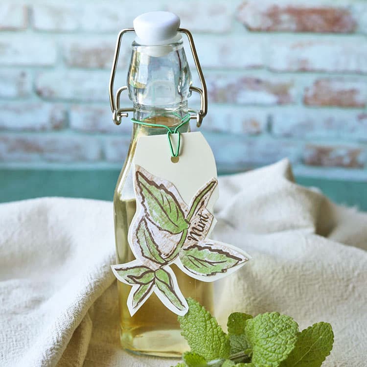 Apple Mint Vinegar