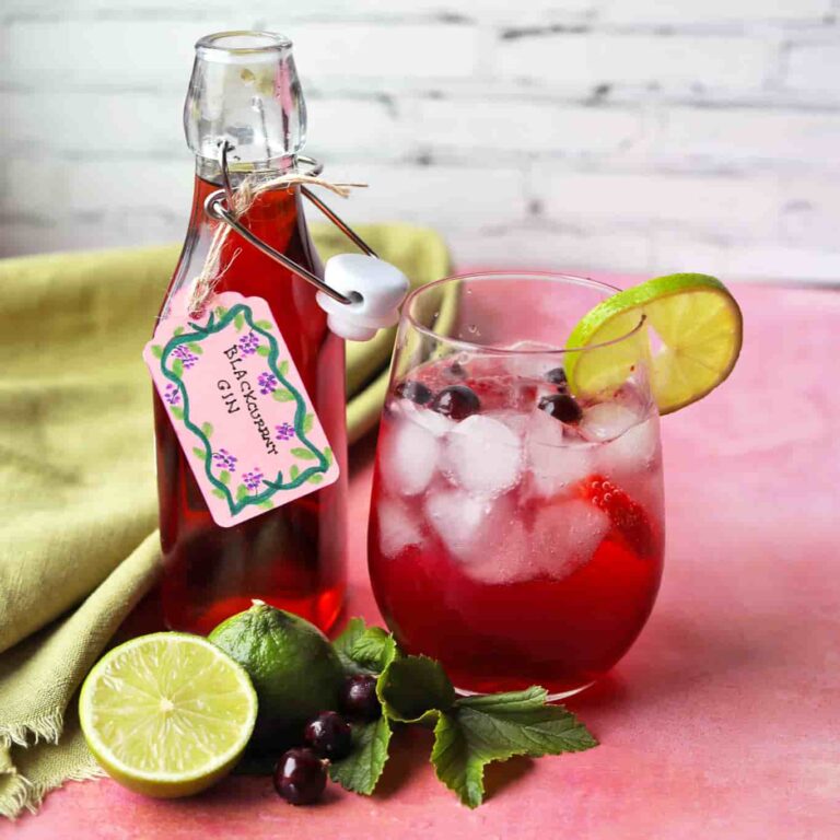 blackcurrant gin with ice glas and lime.