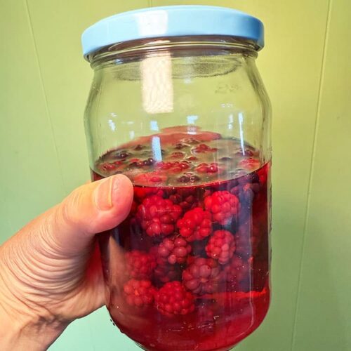 blackberry gin shake jar.