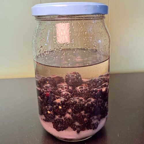 blackberries, gin and sugar in jar.
