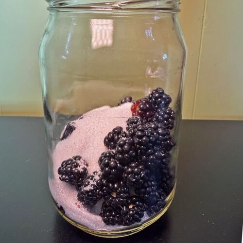 blackberries and sugar in a jar.